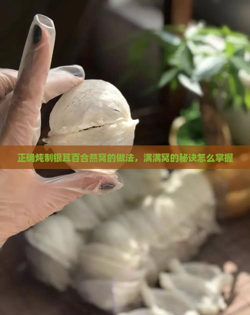 正确炖制银耳百合燕窝的做法，满满窝的秘诀怎么掌握