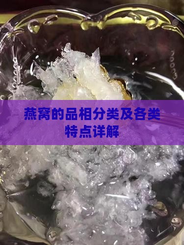 燕窝的品相分类及各类特点详解