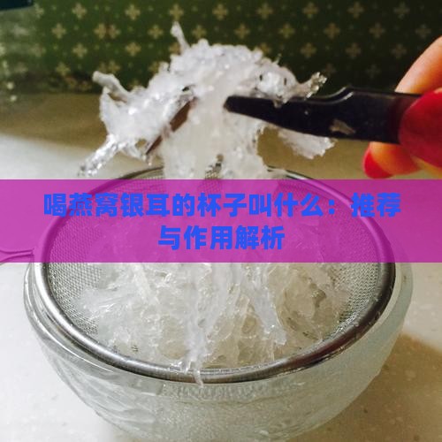 喝燕窝银耳的杯子叫什么：推荐与作用解析