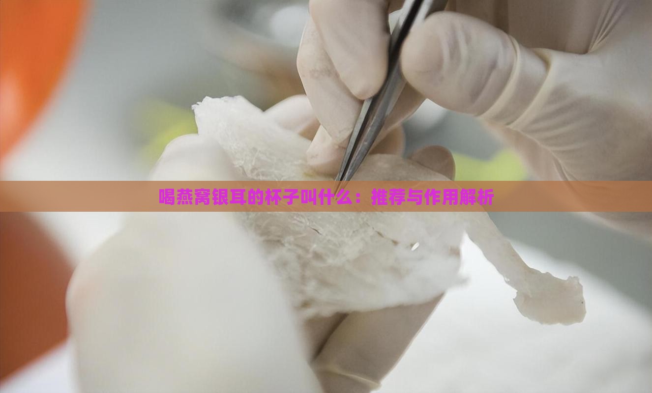 喝燕窝银耳的杯子叫什么：推荐与作用解析