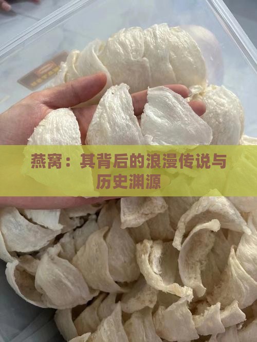 燕窝：其背后的浪漫传说与历史渊源