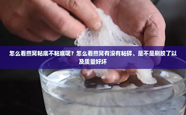 怎么看燕窝粘底不粘底呢？怎么看燕窝有没有粘碎、是不是刷胶了以及质量好坏