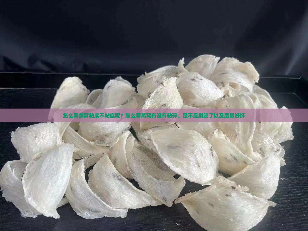 怎么看燕窝粘底不粘底呢？怎么看燕窝有没有粘碎、是不是刷胶了以及质量好坏