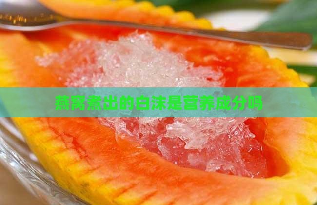 燕窝煮出的白沫是营养成分吗