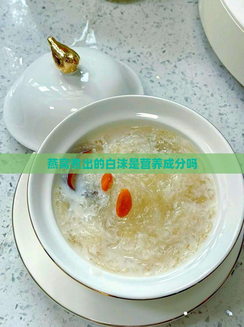 燕窝煮出的白沫是营养成分吗