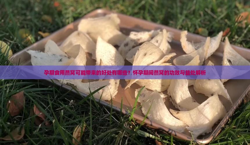 孕期食用燕窝可能带来的好处有哪些？怀孕期间燕窝的功效与益处解析