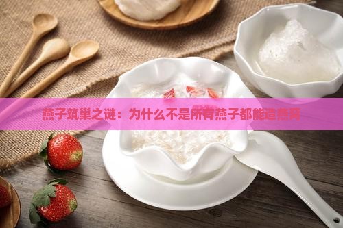 燕子筑巢之谜：为什么不是所有燕子都能造燕窝