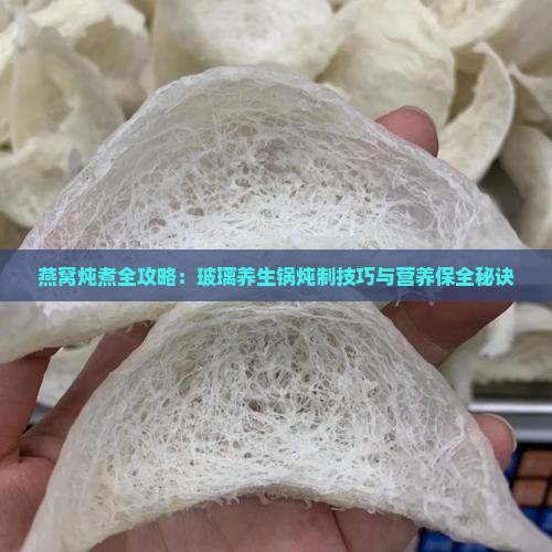 燕窝炖煮全攻略：玻璃养生锅炖制技巧与营养保全秘诀
