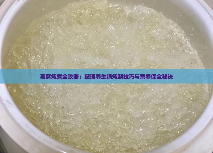 燕窝炖煮全攻略：玻璃养生锅炖制技巧与营养保全秘诀