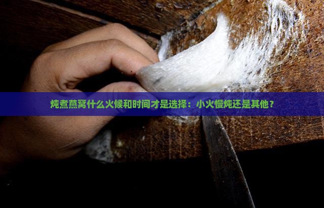 炖煮燕窝什么火候和时间才是选择：小火慢炖还是其他？