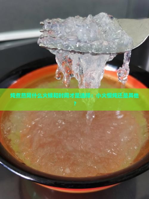 炖煮燕窝什么火候和时间才是选择：小火慢炖还是其他？