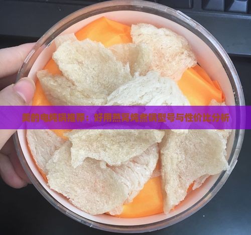 美的电炖锅推荐：好用燕窝炖煮锅型号与性价比分析