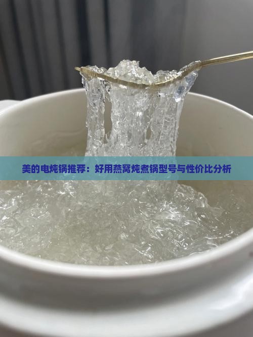 美的电炖锅推荐：好用燕窝炖煮锅型号与性价比分析