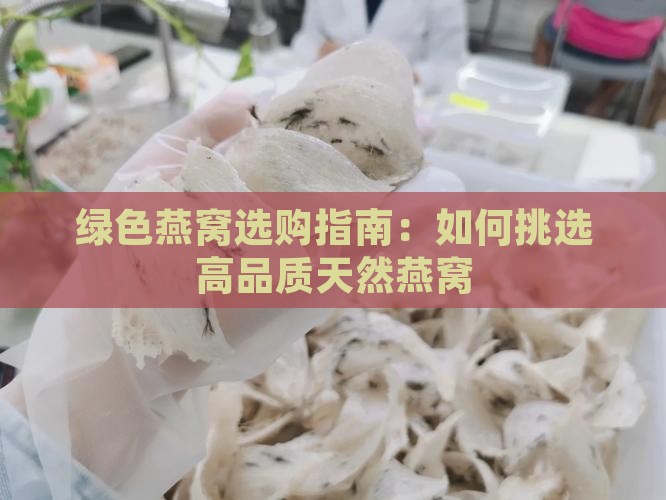 绿色燕窝选购指南：如何挑选高品质天然燕窝