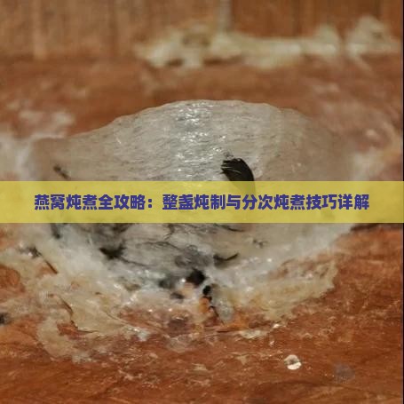 燕窝炖煮全攻略：整盏炖制与分次炖煮技巧详解