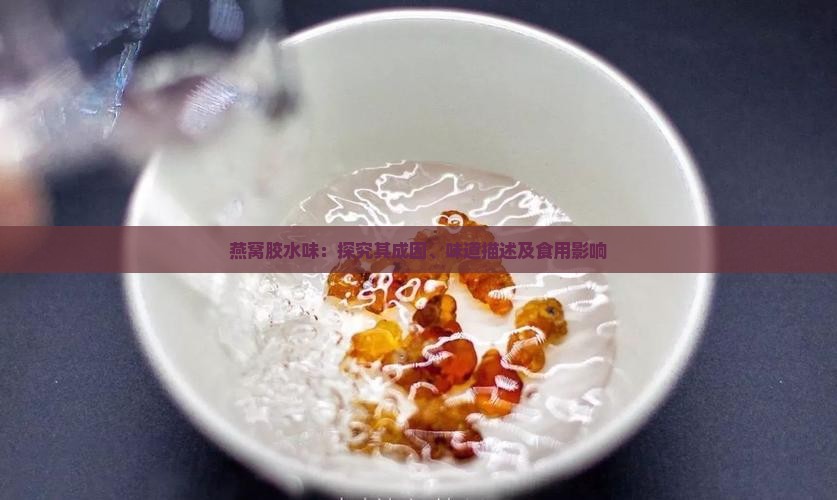 燕窝胶水味：探究其成因、味道描述及食用影响