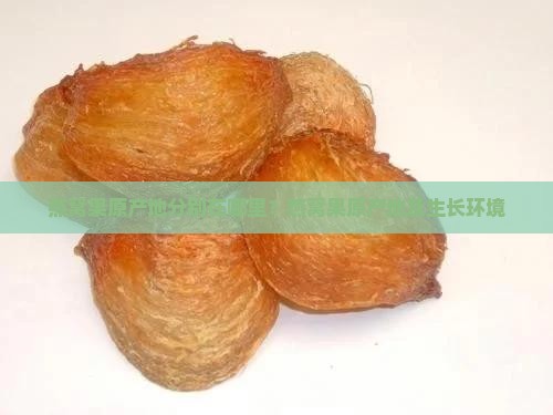 燕窝果原产地分别在哪里？燕窝果原产地及生长环境
