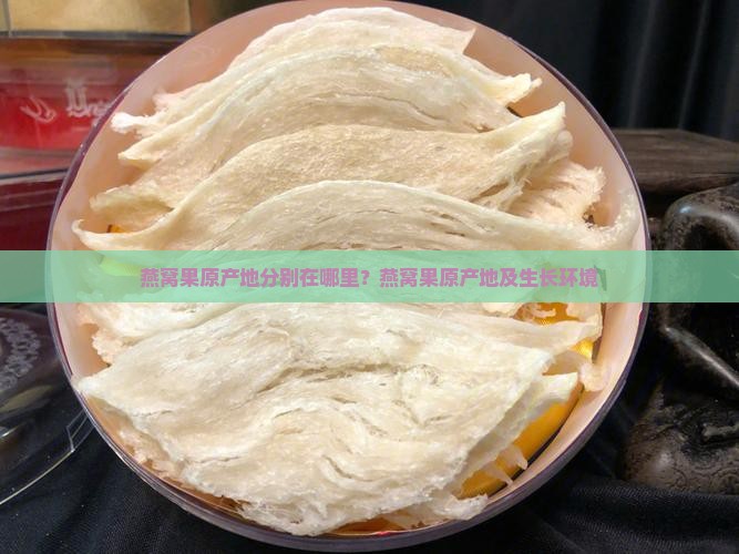 燕窝果原产地分别在哪里？燕窝果原产地及生长环境