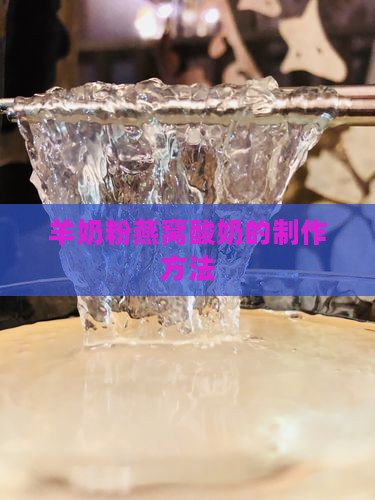 羊奶粉燕窝酸奶的制作方法