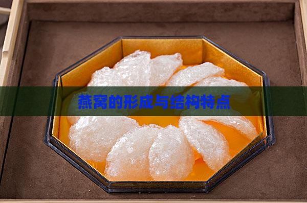 燕窝的形成与结构特点