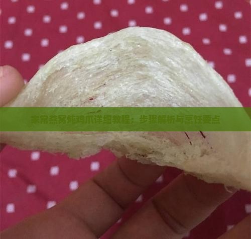 家常燕窝炖鸡爪详细教程：步骤解析与烹饪要点