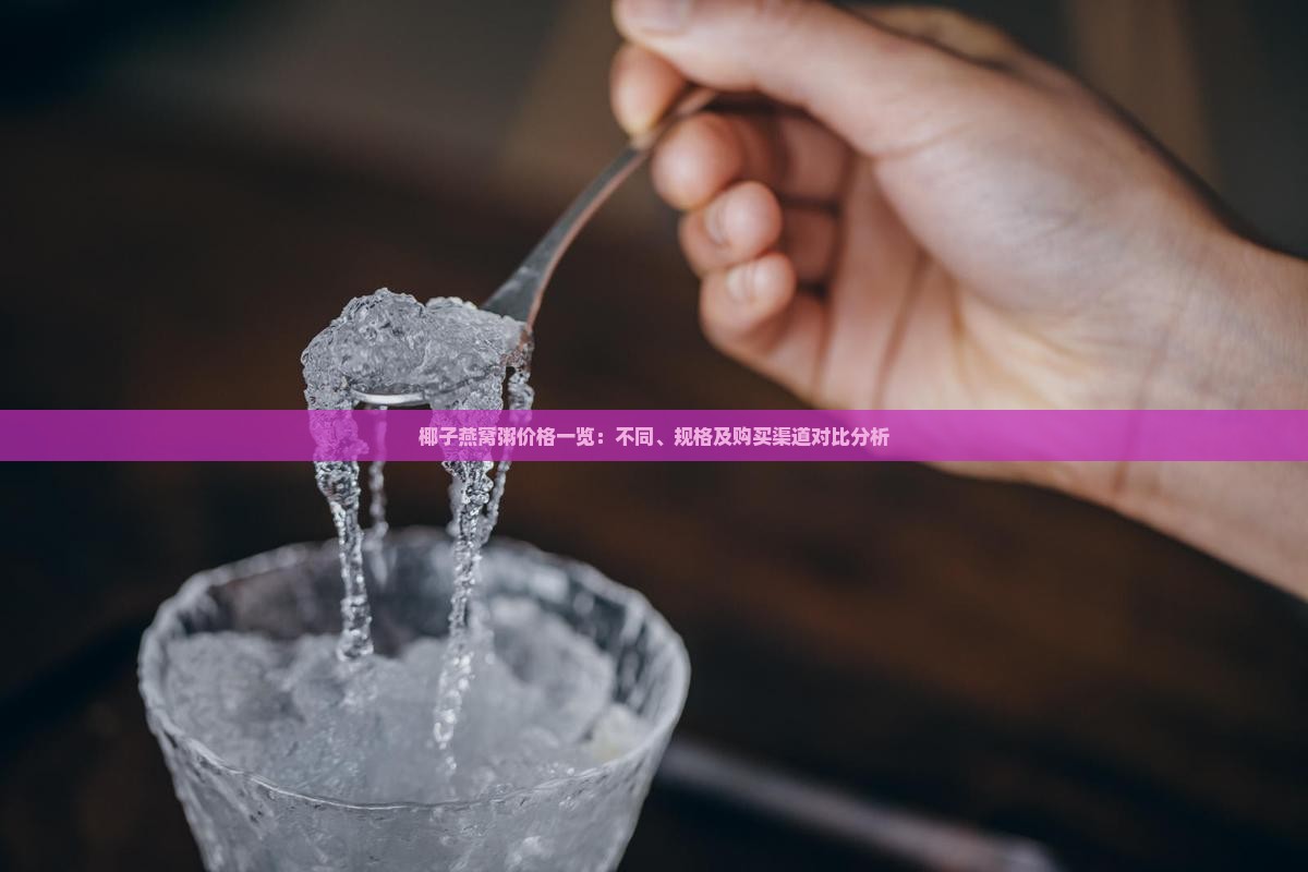 椰子燕窝粥价格一览：不同、规格及购买渠道对比分析
