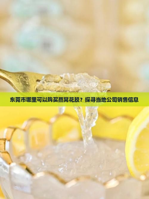 东莞市哪里可以购买燕窝花胶？探寻当地公司销售信息