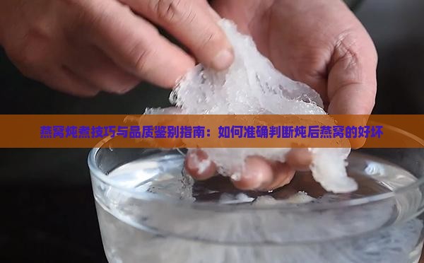 燕窝炖煮技巧与品质鉴别指南：如何准确判断炖后燕窝的好坏