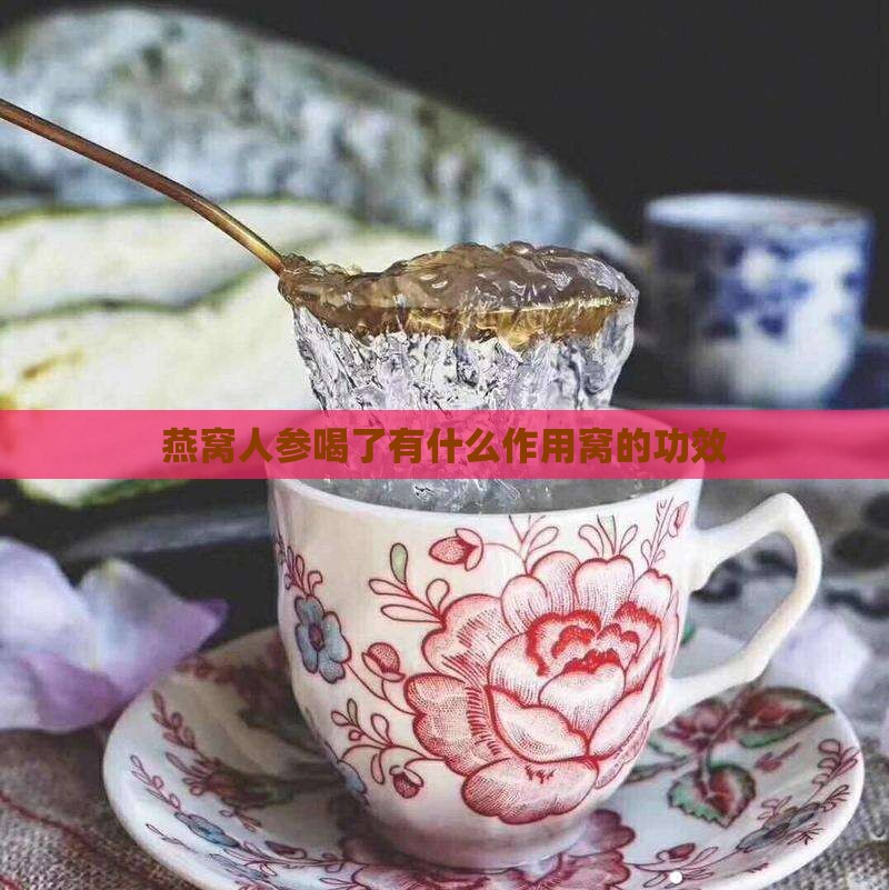 燕窝人参喝了有什么作用窝的功效