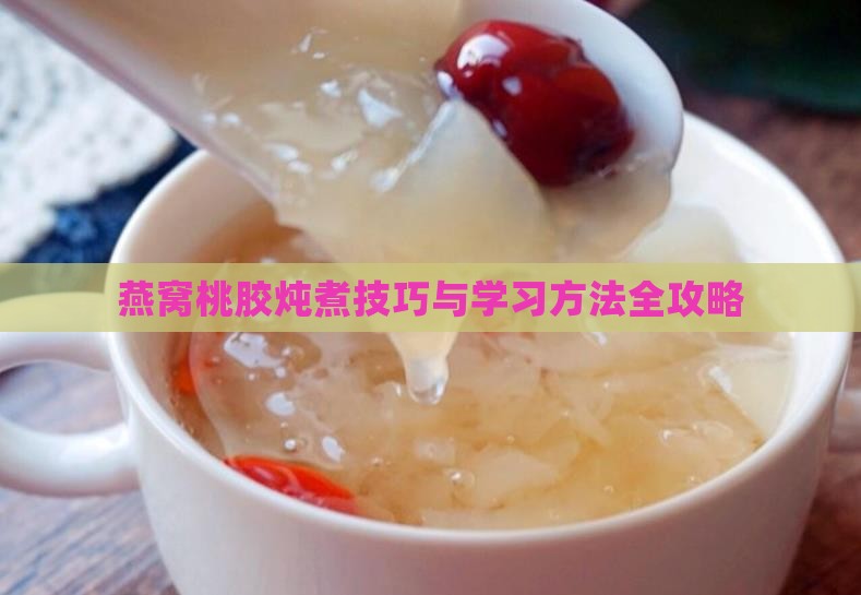 燕窝桃胶炖煮技巧与学习方法全攻略