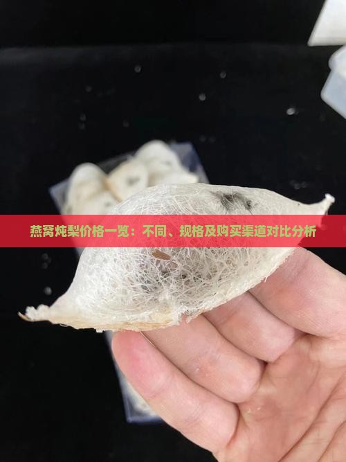 燕窝炖梨价格一览：不同、规格及购买渠道对比分析