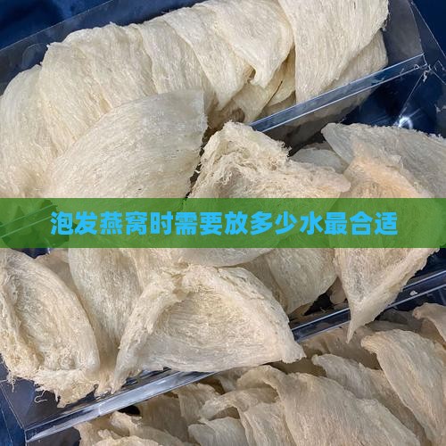 泡发燕窝换水放多少合适