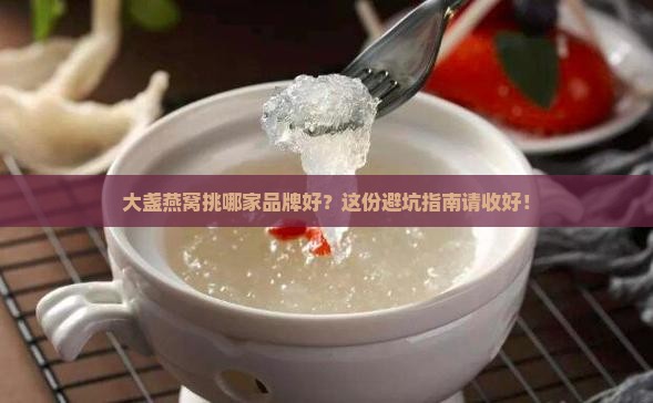 大盏燕窝怎么选择品牌好