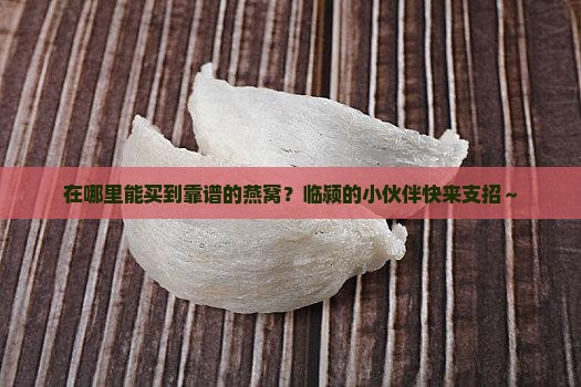 临颍哪里买燕窝多一些