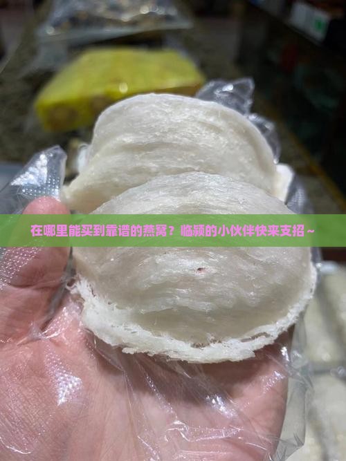 临颍哪里买燕窝多一些