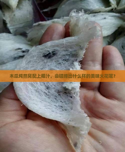 木瓜炖燕窝配什么椰汁