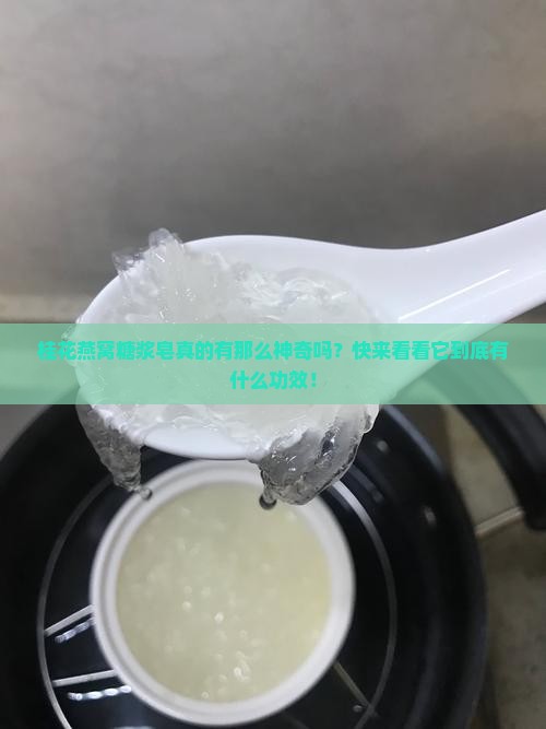 桂花燕窝糖浆皂功效是什么