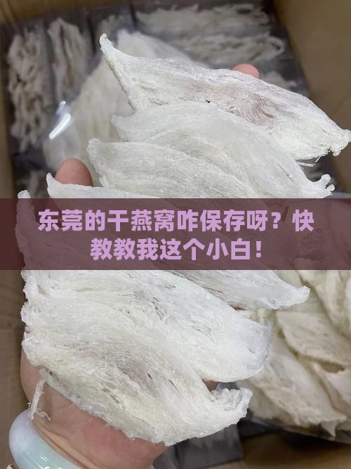 东莞当地干燕窝怎么保存