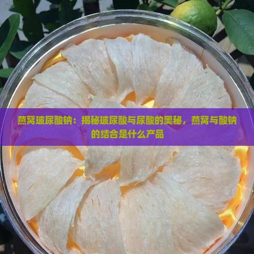 燕窝玻尿酸钠是什么产品