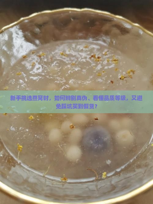 新手挑选燕窝怎么选最好