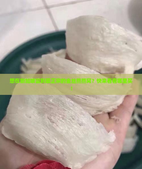 新加坡金丝燕燕窝哪里买