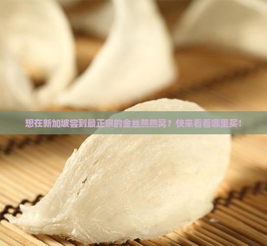 新加坡金丝燕燕窝哪里买