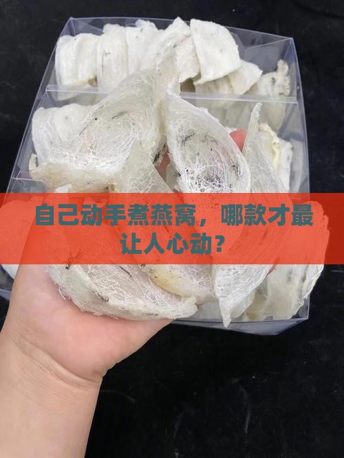 燕窝自己煮的哪个比较好