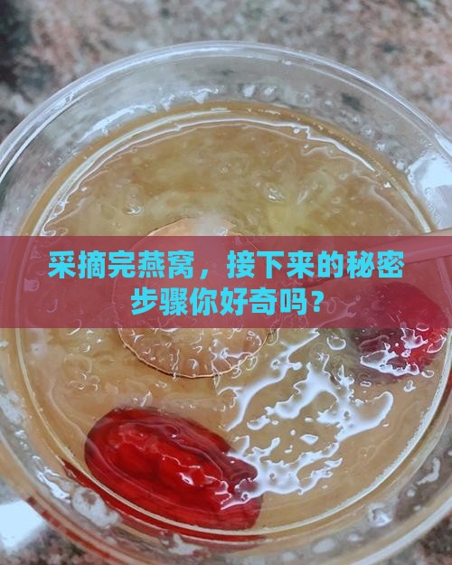 燕窝采摘后如何处理好