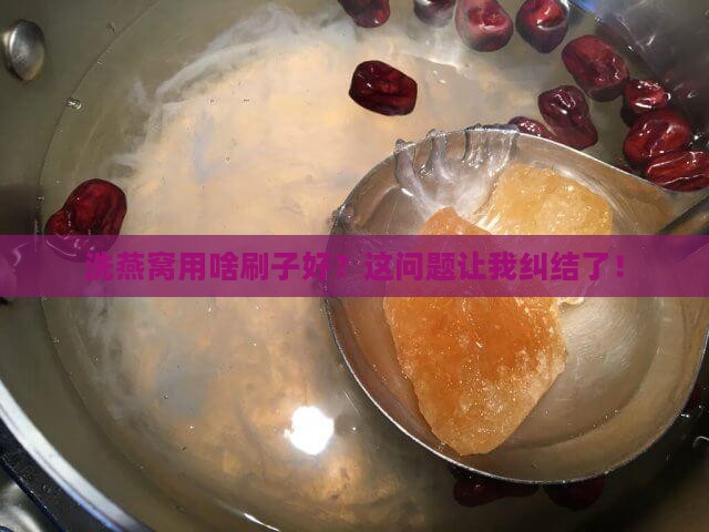 洗燕窝用什么样的刷子
