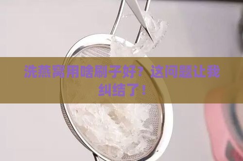 洗燕窝用什么样的刷子