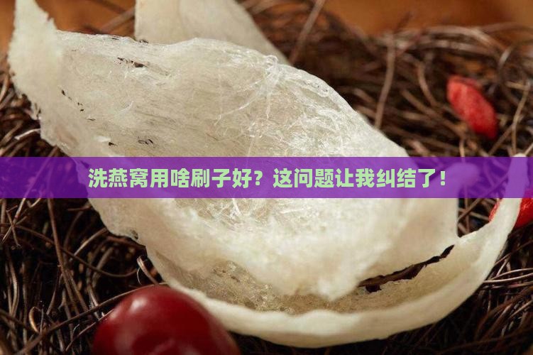 洗燕窝用什么样的刷子