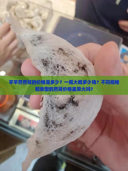 芊芊燕燕窝多少钱一瓶