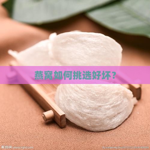 药店燕窝怎么选好坏呢