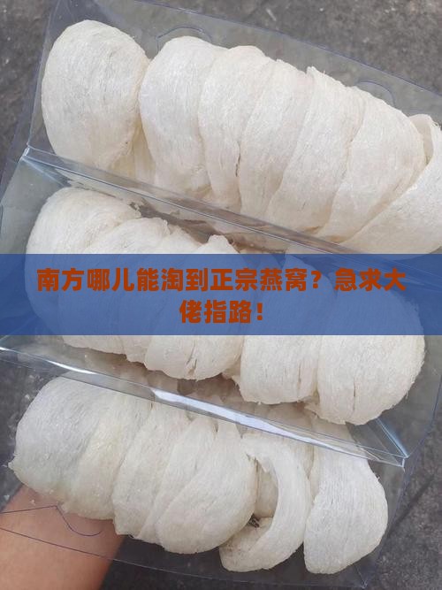 南方哪里可以买到燕窝